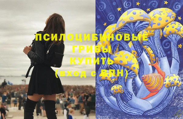 круглые Осинники