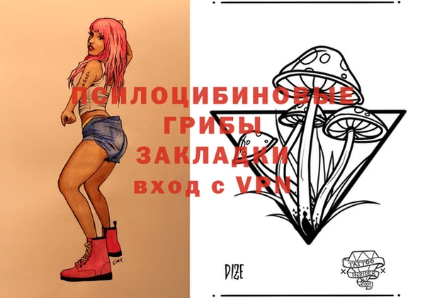 индика Лагань