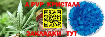 спиды Канаш