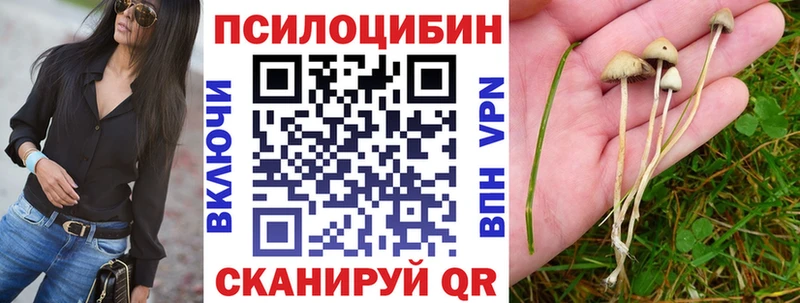 kraken сайт  Кропоткин  Псилоцибиновые грибы MAGIC MUSHROOMS 
