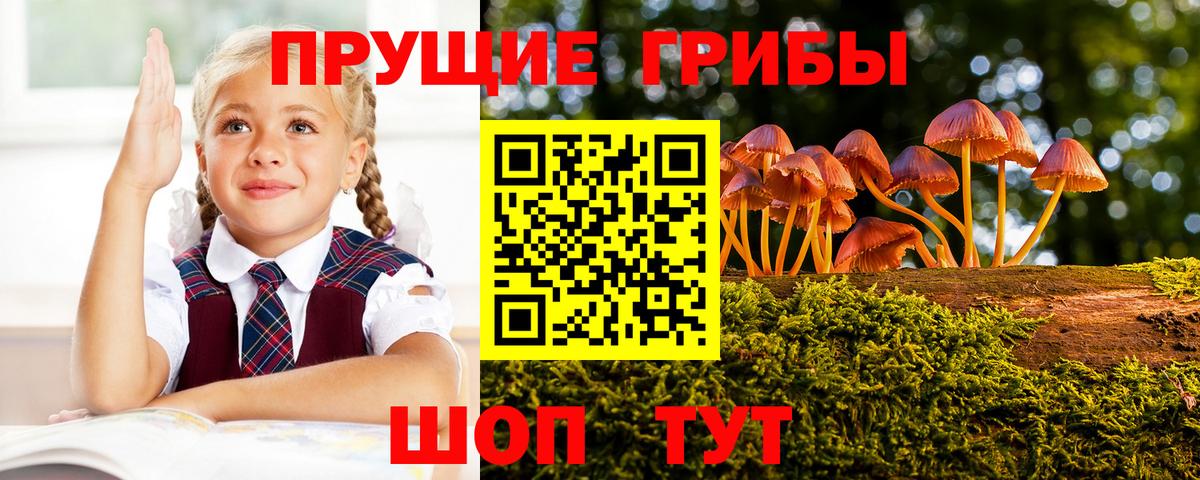 Кропоткин  продажа наркотиков  Вход с VPN  Галлюциногенные грибы Cubensis 